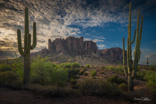 LOST DUTCHMAN GLOW