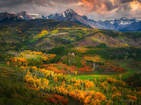 AUTUMN COLORS | LARGE FORMAT ART | FINE ART PHOTOGRAPHY FOR SALE